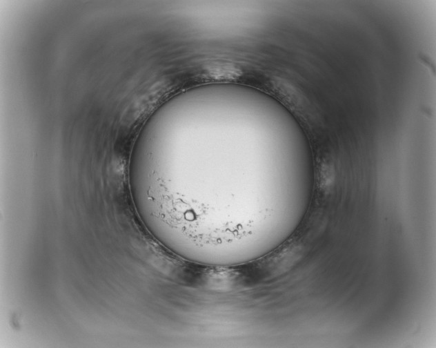 X0000100230321200805301418