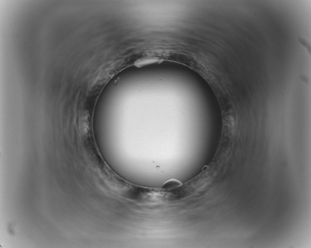 X0000100230323200805301418
