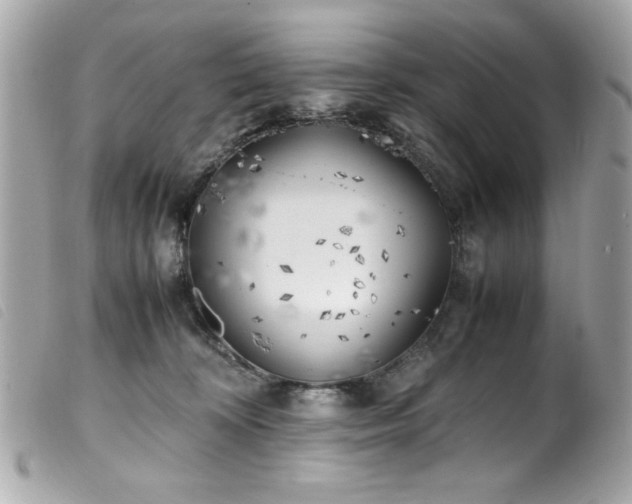 X0000100230324200805301418