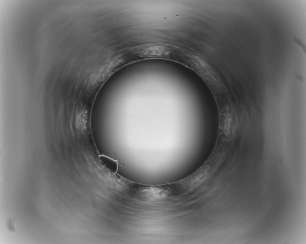 X0000100230326200805301418