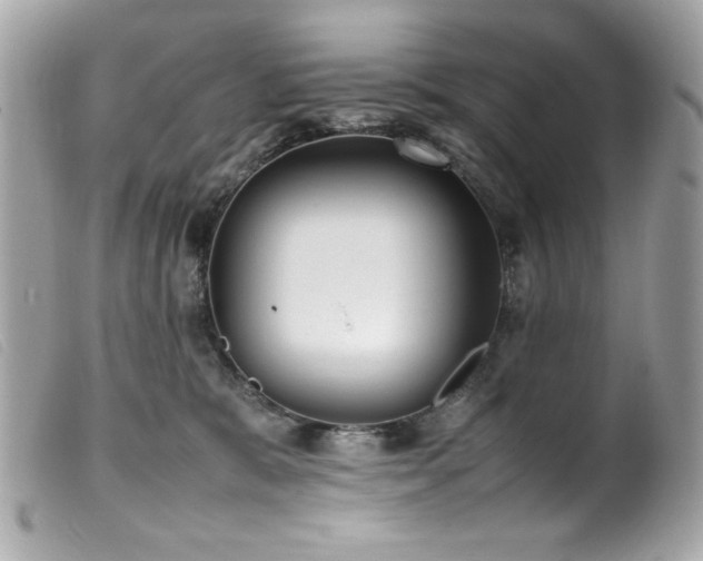 X0000100230327200805301418
