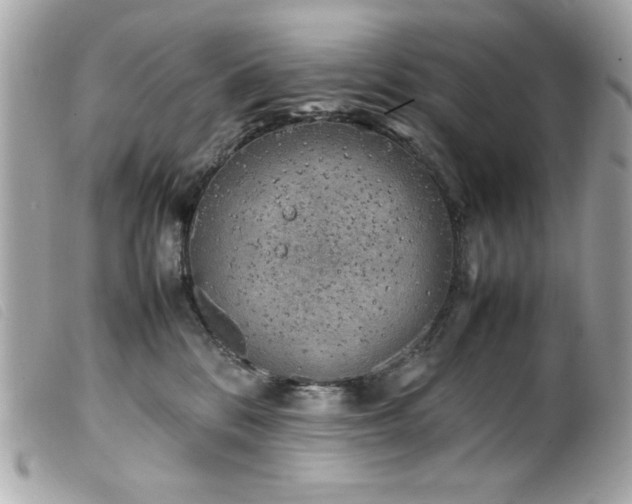 X0000100230328200805301418