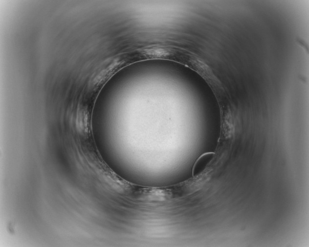 X0000100230330200805301418