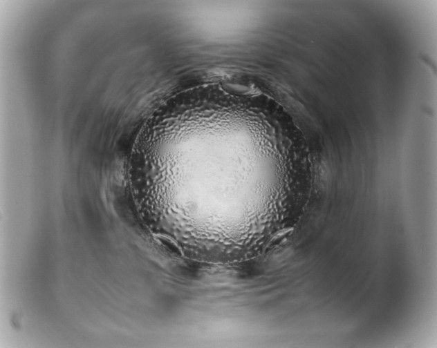 X0000100230331200805301418