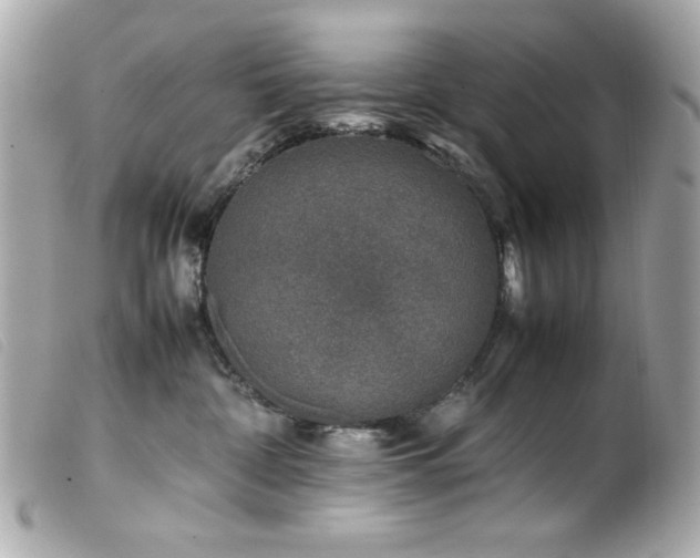 X0000100230332200805301418