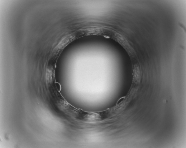 X0000100230333200805301418
