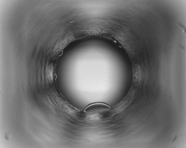 X0000100230334200805301418
