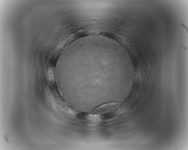 X0000100230335200805301418