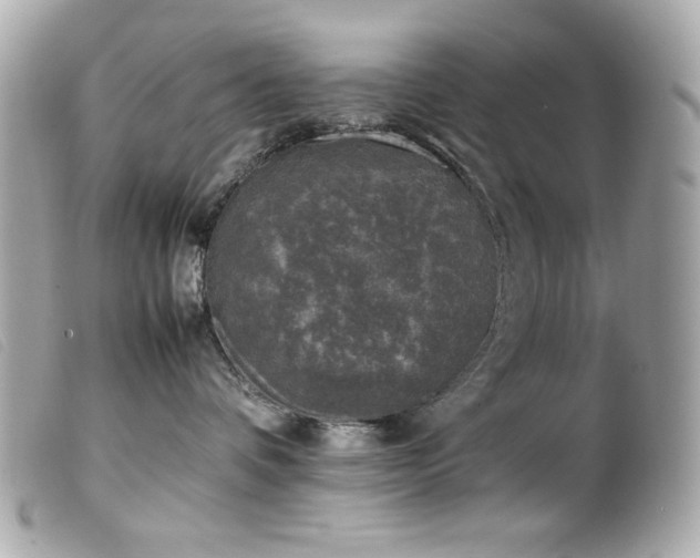X0000100230336200805301417
