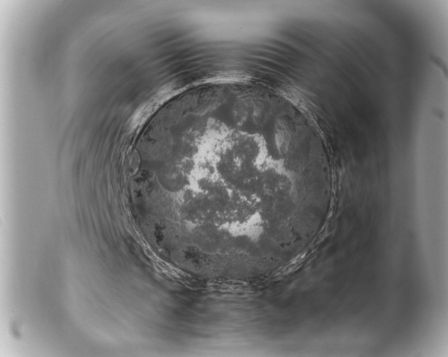 X0000100230337200805301417