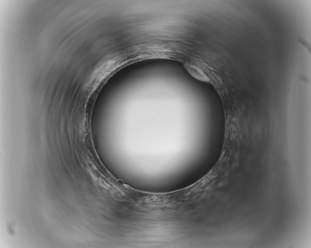 X0000100230338200805301417