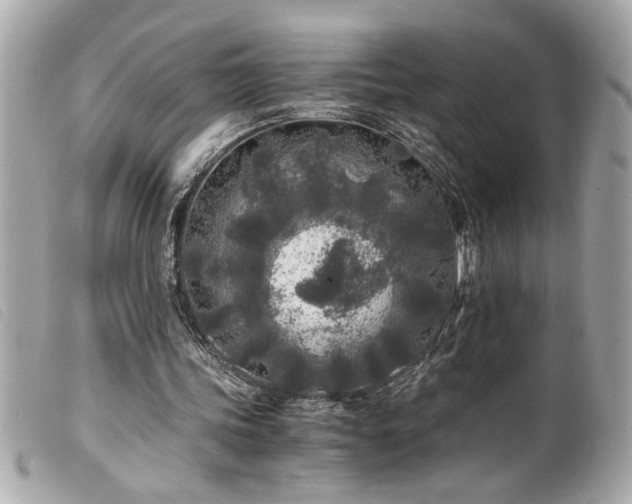X0000100230339200805301417