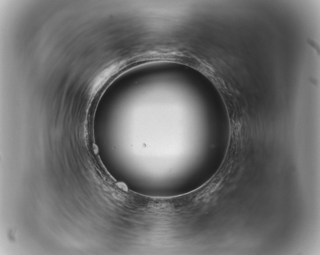 X0000100230340200805301417