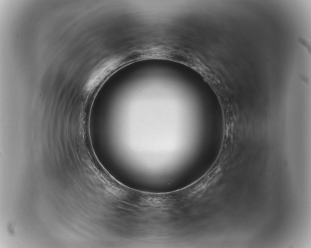 X0000100230341200805301417