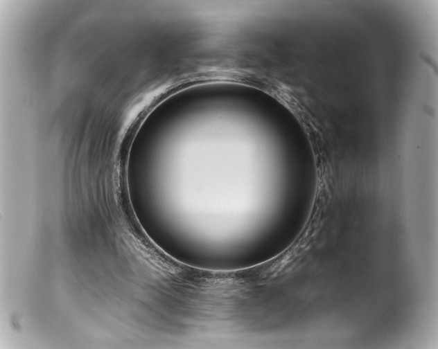 X0000100230342200805301417