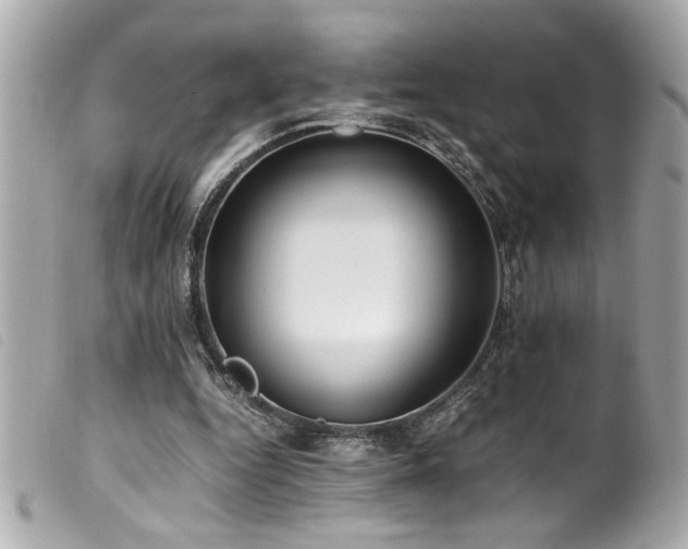 X0000100230344200805301417