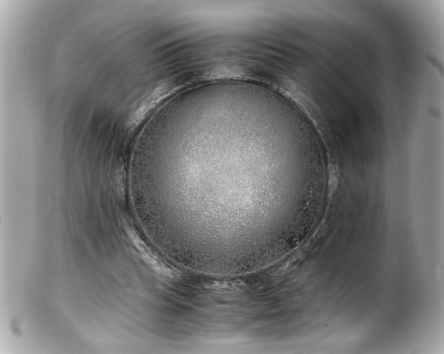 X0000100230345200805301417
