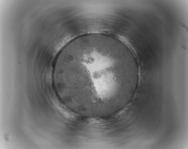 X0000100230346200805301417
