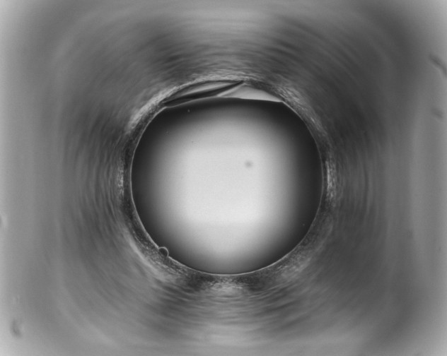 X0000100230348200805301417