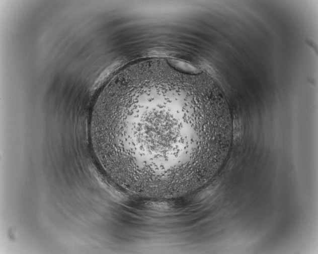 X0000100230349200805301417