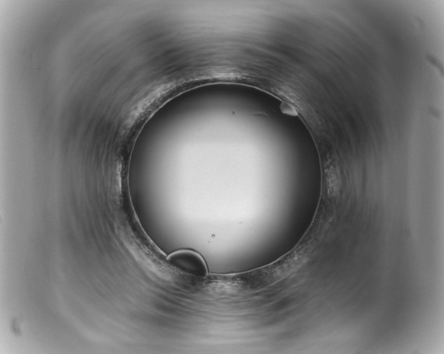 X0000100230350200805301417