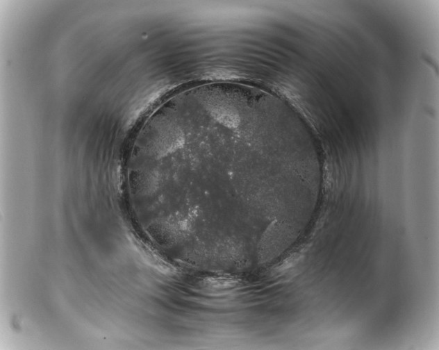 X0000100230351200805301417
