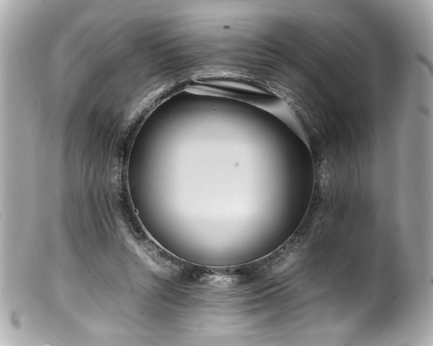 X0000100230352200805301417
