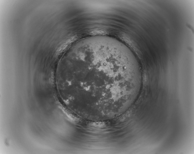 X0000100230353200805301417
