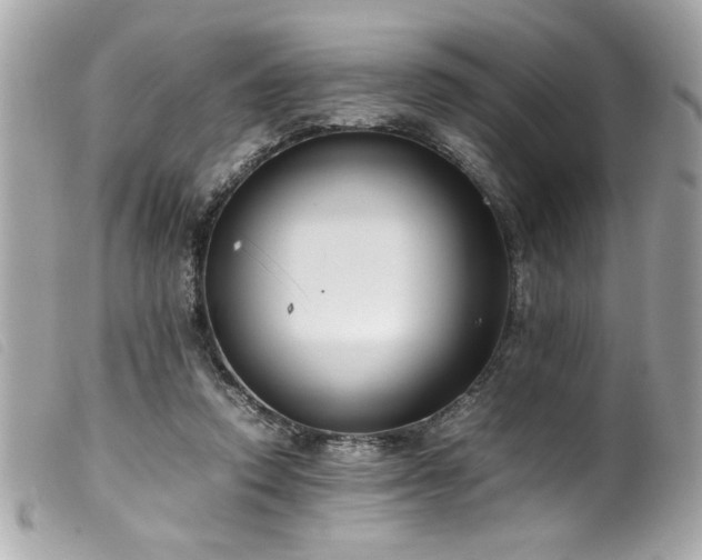 X0000100230354200805301417