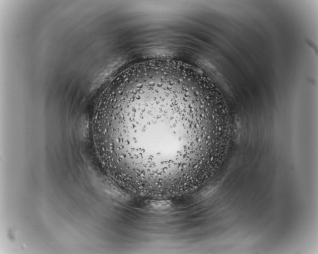 X0000100230355200805301417