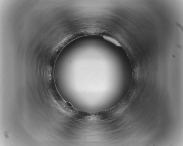 X0000100230356200805301417