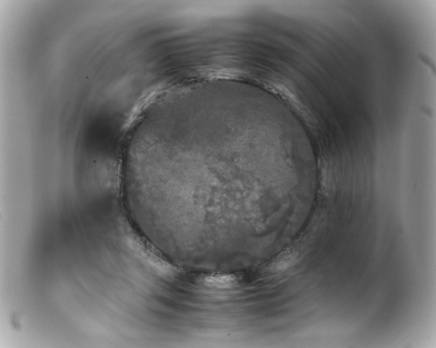 X0000100230357200805301417