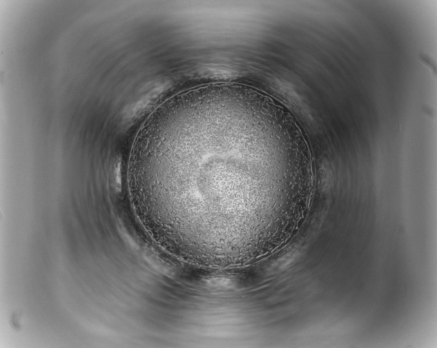 X0000100230358200805301417