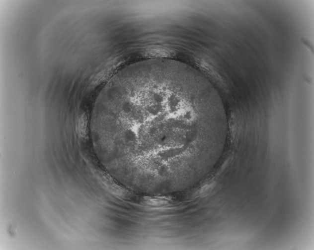 X0000100230359200805301417