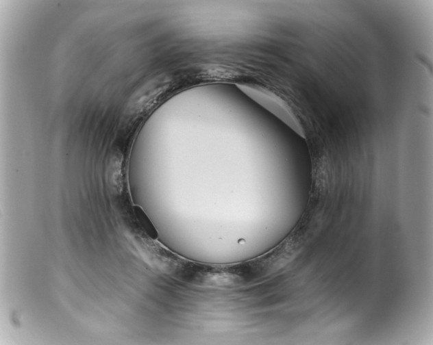 X0000100230360200805301417