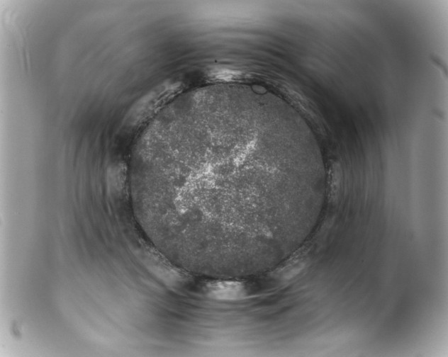 X0000100230361200805301417