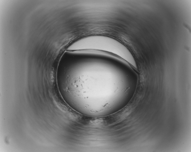 X0000100230362200805301417