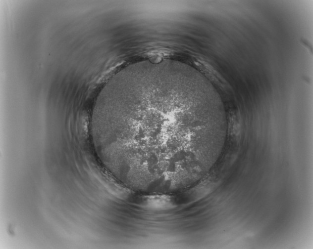X0000100230363200805301417