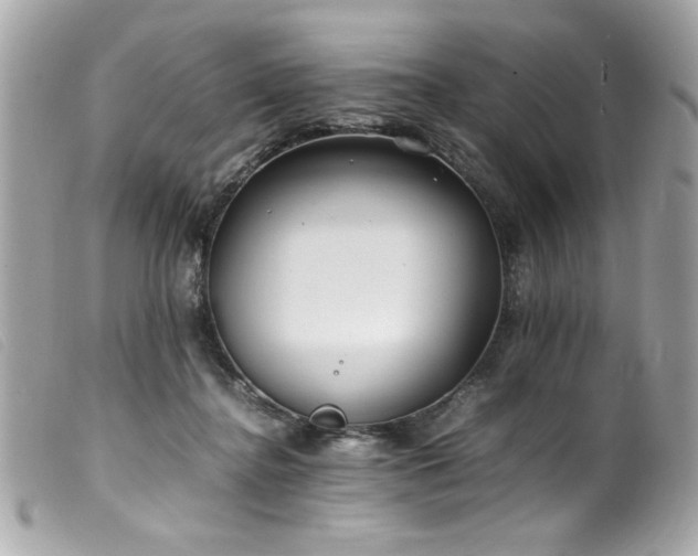 X0000100230364200805301417