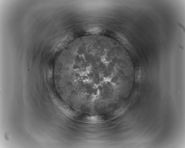 X0000100230365200805301417