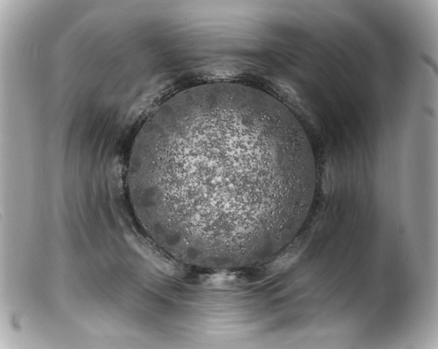 X0000100230366200805301417