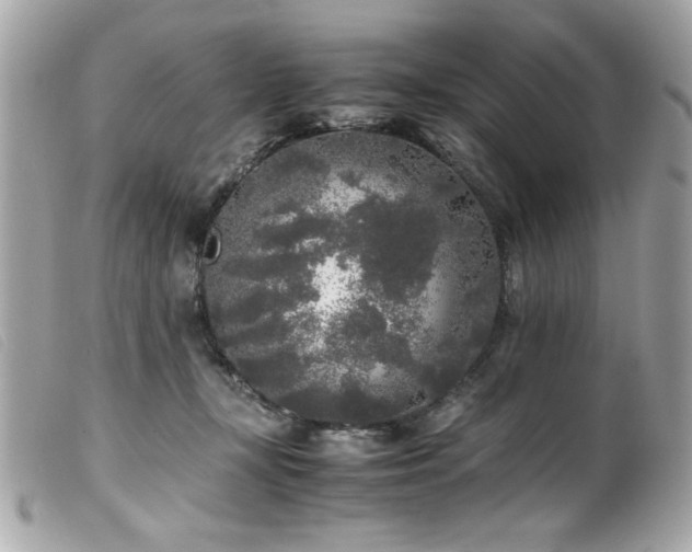 X0000100230367200805301417