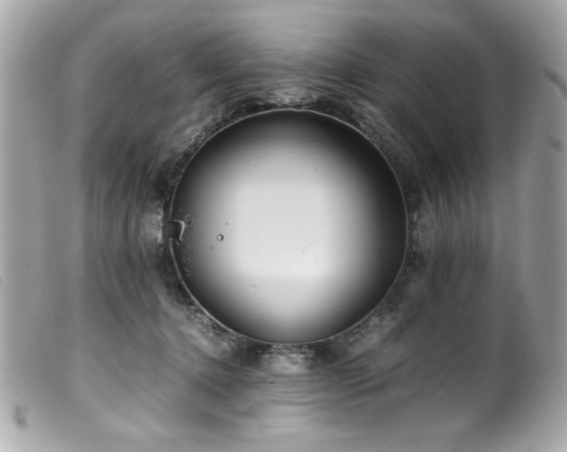 X0000100230368200805301417