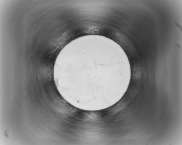 X0000100230370200805301417