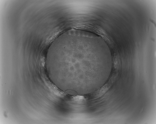 X0000100230374200805301417