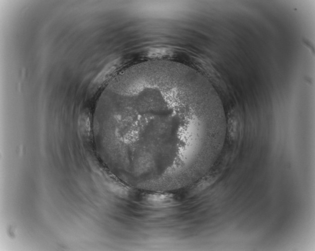 X0000100230375200805301417