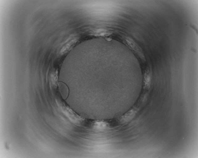 X0000100230376200805301417