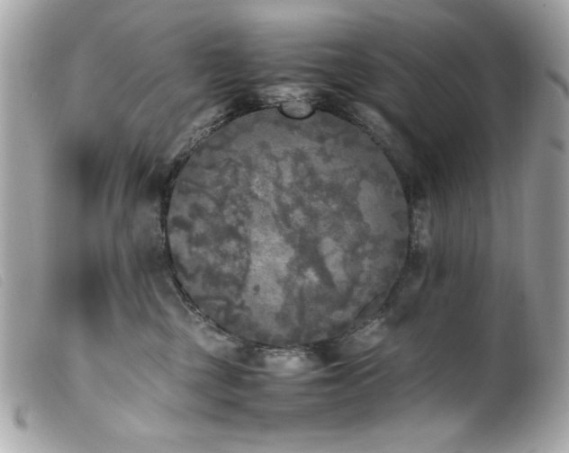 X0000100230377200805301417