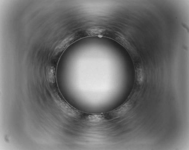 X0000100230378200805301417