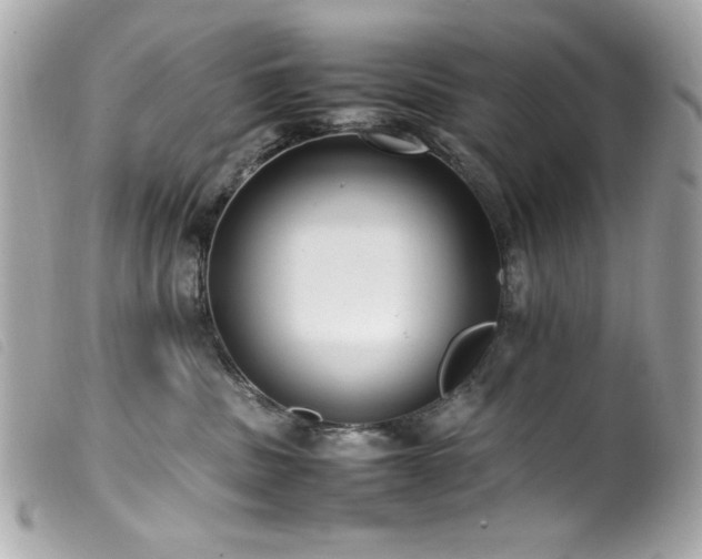 X0000100230379200805301417